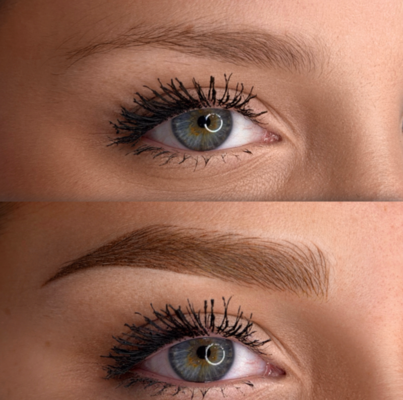 Dual Shade Brows - SC Academy