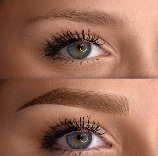 Dual Shade Brows - SC Academy